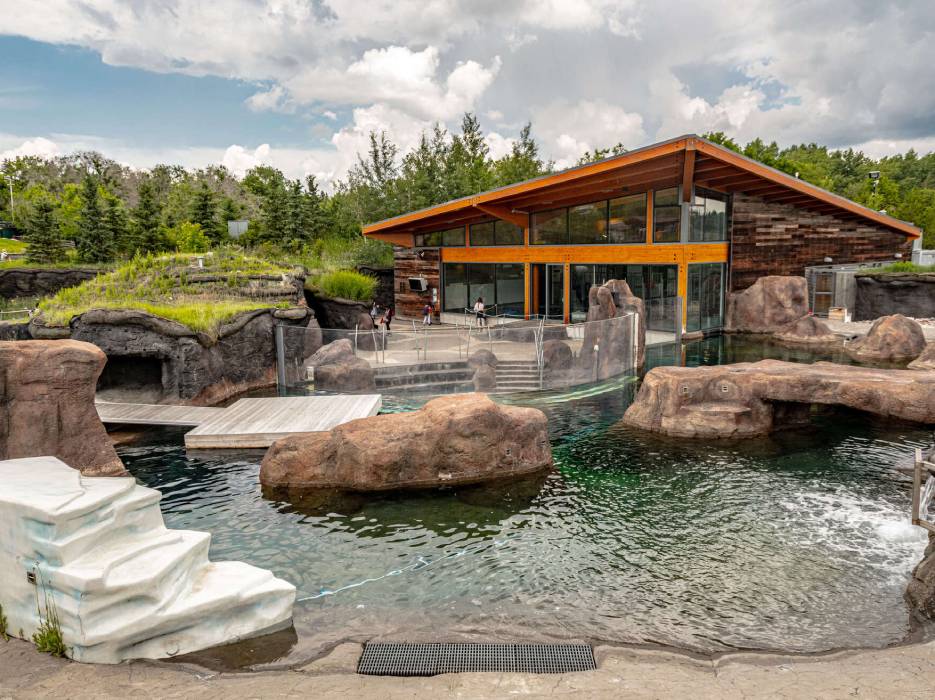 Construction de piscine - Zoo d'Edmonton